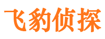 石屏侦探公司